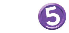 Fin5 Logo